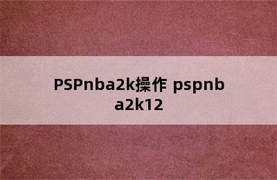 PSPnba2k操作 pspnba2k12